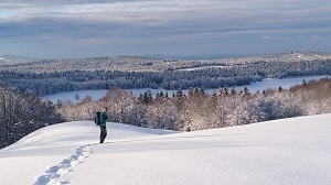 Plateau du Retord - randonnée raquettes