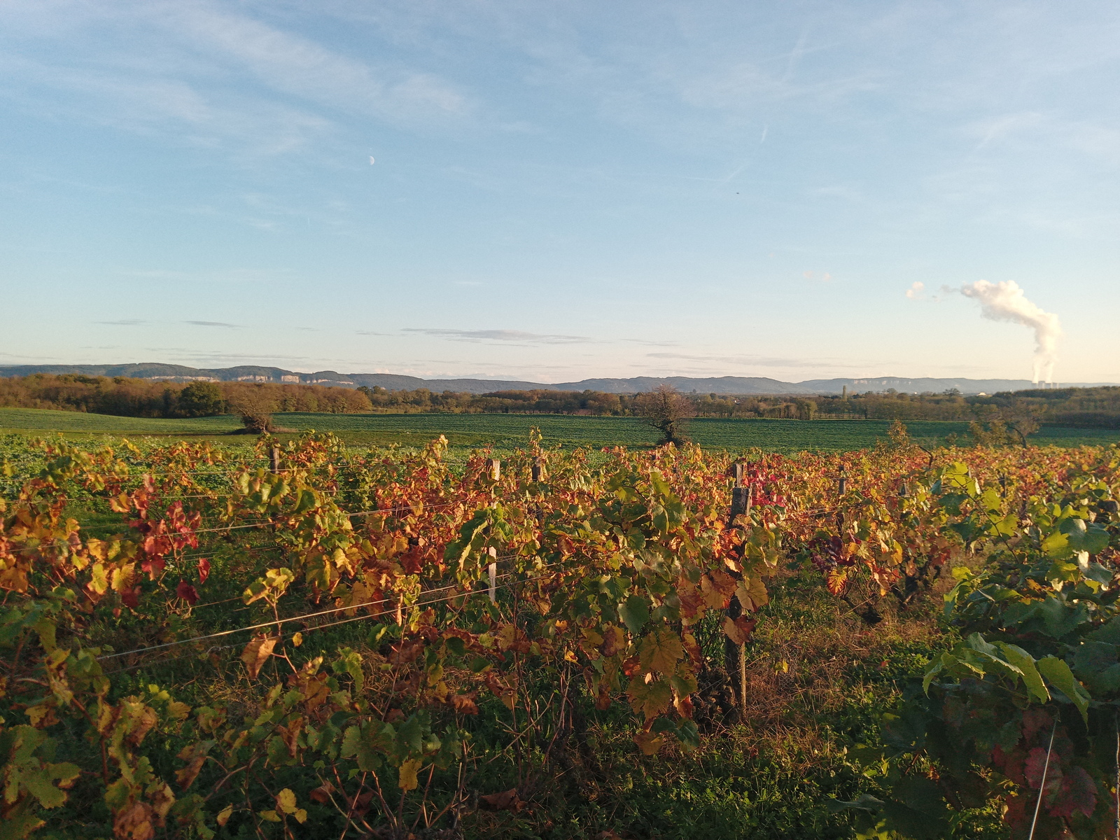 Sainte-Julie, vue automnale, des vignes du Trolliet